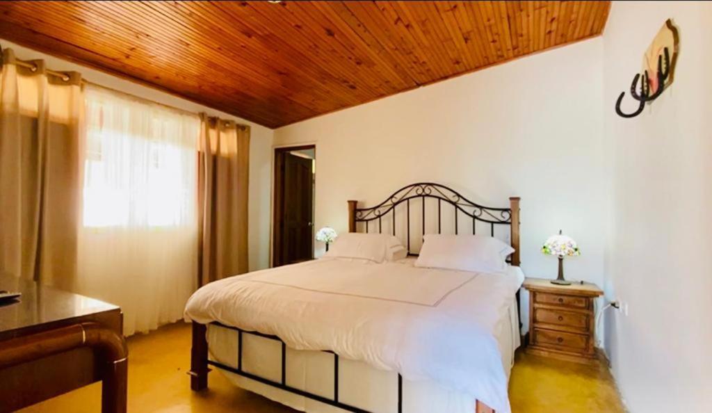 Finca Hotel El Laurel - Parque Del Cafe Montenegro Zewnętrze zdjęcie