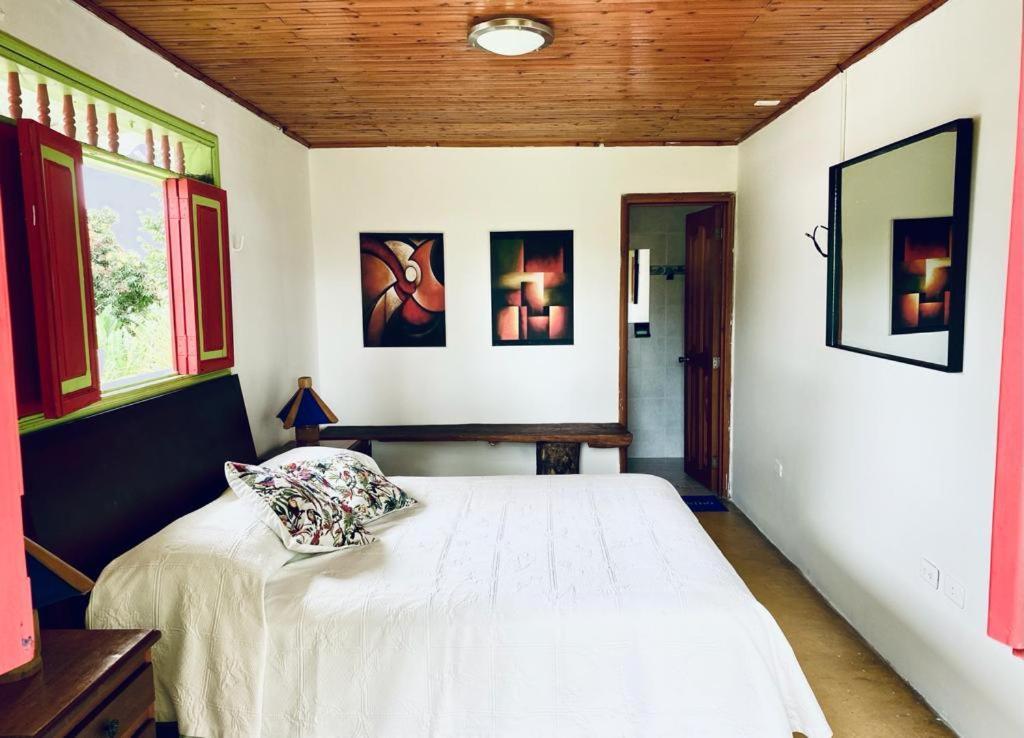 Finca Hotel El Laurel - Parque Del Cafe Montenegro Zewnętrze zdjęcie