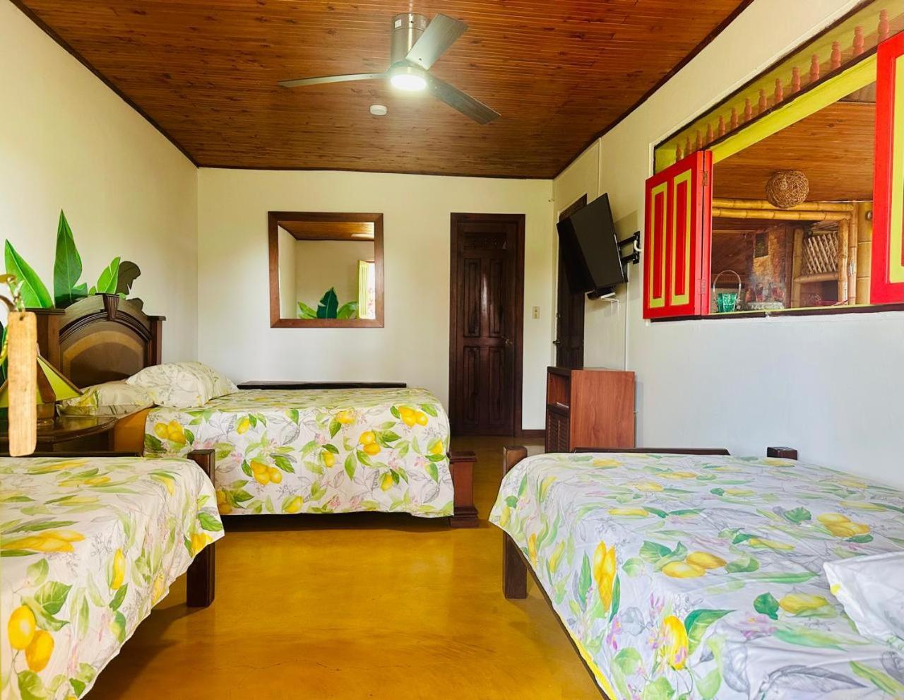 Finca Hotel El Laurel - Parque Del Cafe Montenegro Zewnętrze zdjęcie